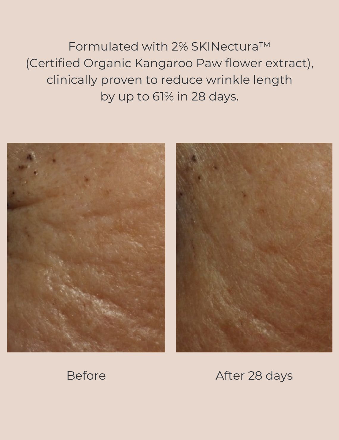 INIKA Organic Pure Perfection Primer (GWP)